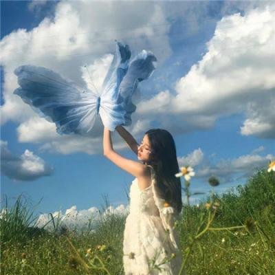 无花果之树