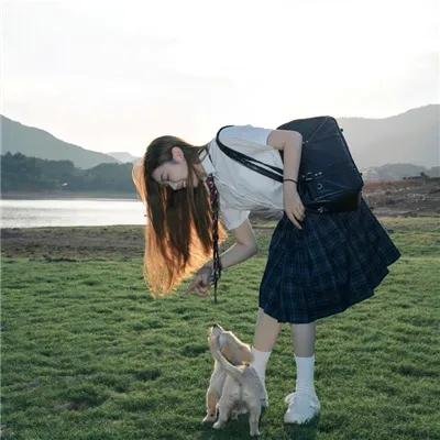 盗贼生涯
